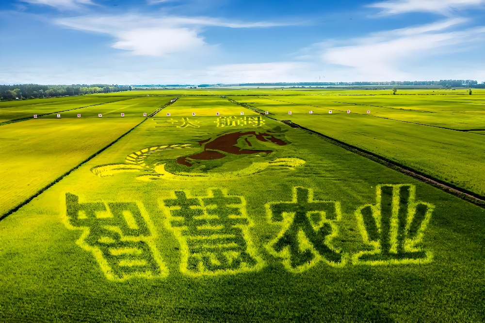 智能一体化闸门应用场景