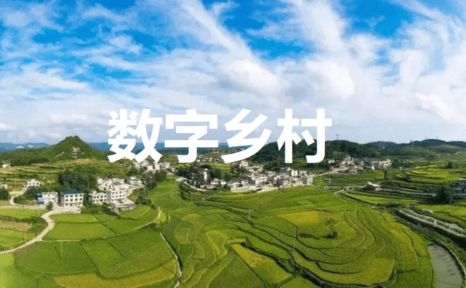 2025 年数字乡村发展工作要点