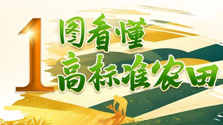 一图读懂高标准农田